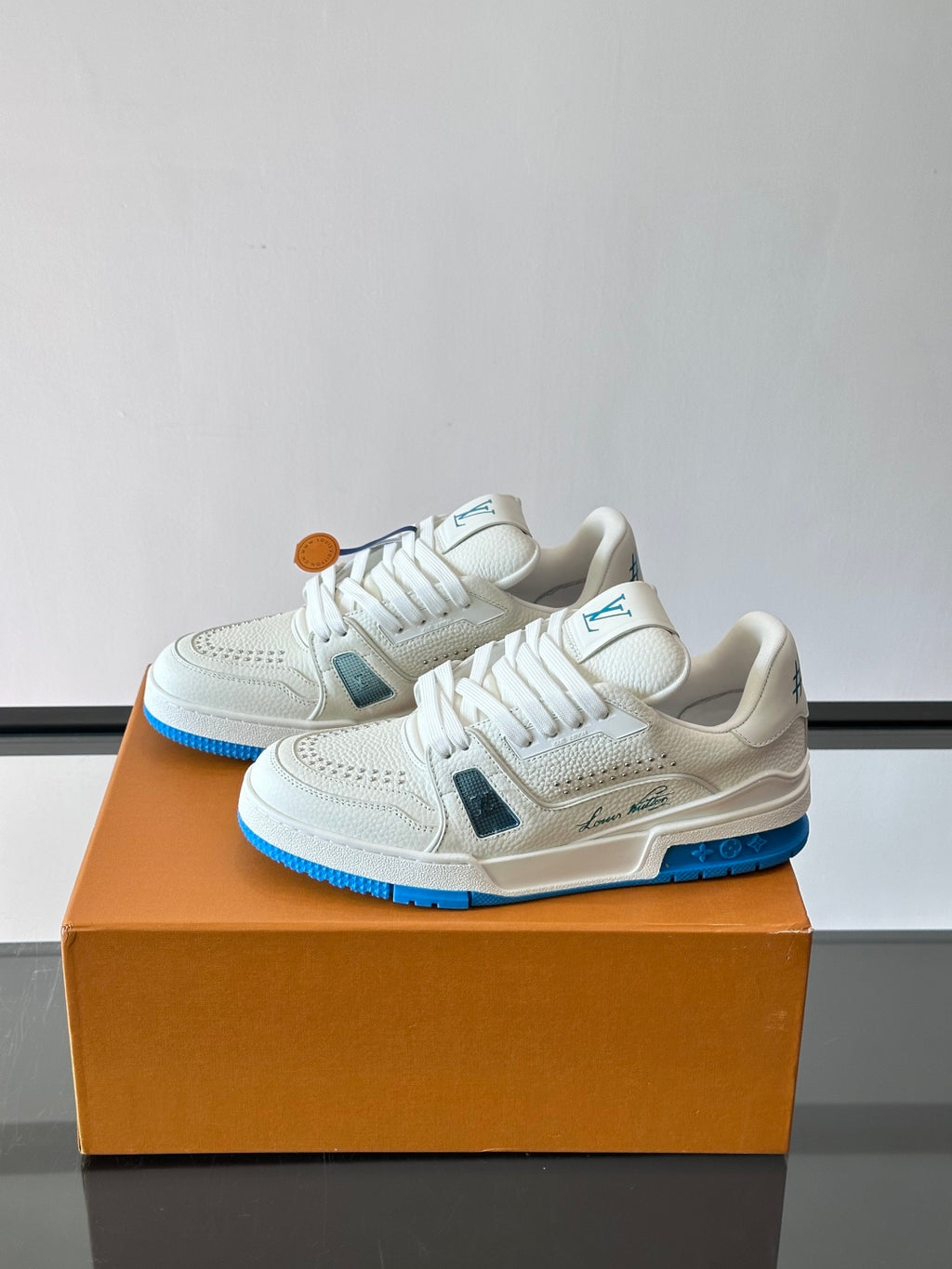 Louis Vuitton Sneaker #5141